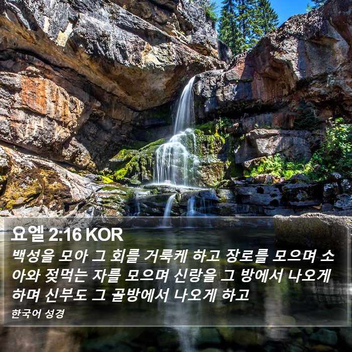 요엘 2:16 KOR Bible Study