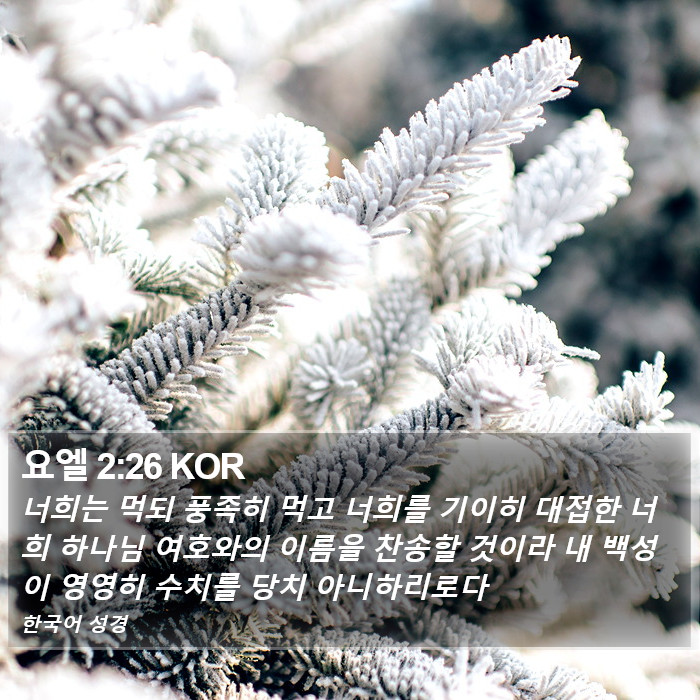 요엘 2:26 KOR Bible Study