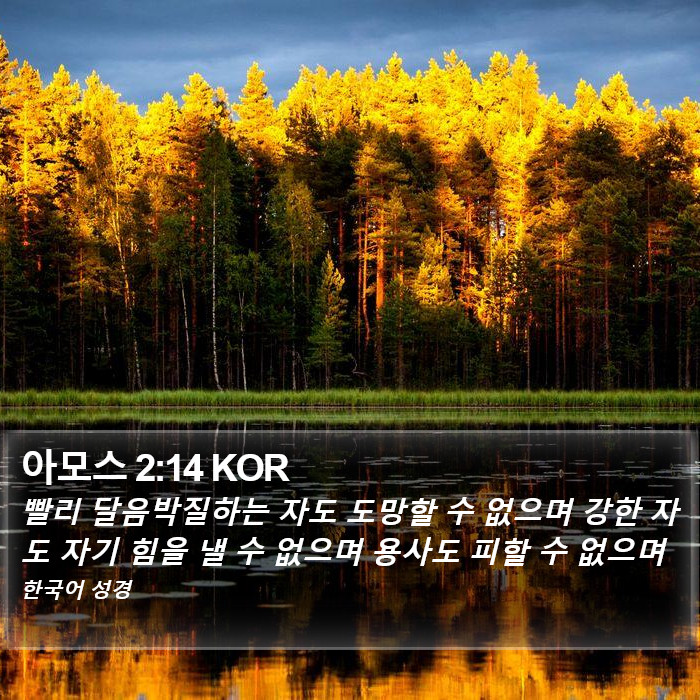 아모스 2:14 KOR Bible Study