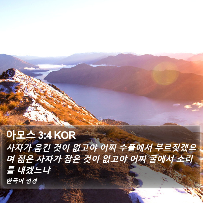 아모스 3:4 KOR Bible Study