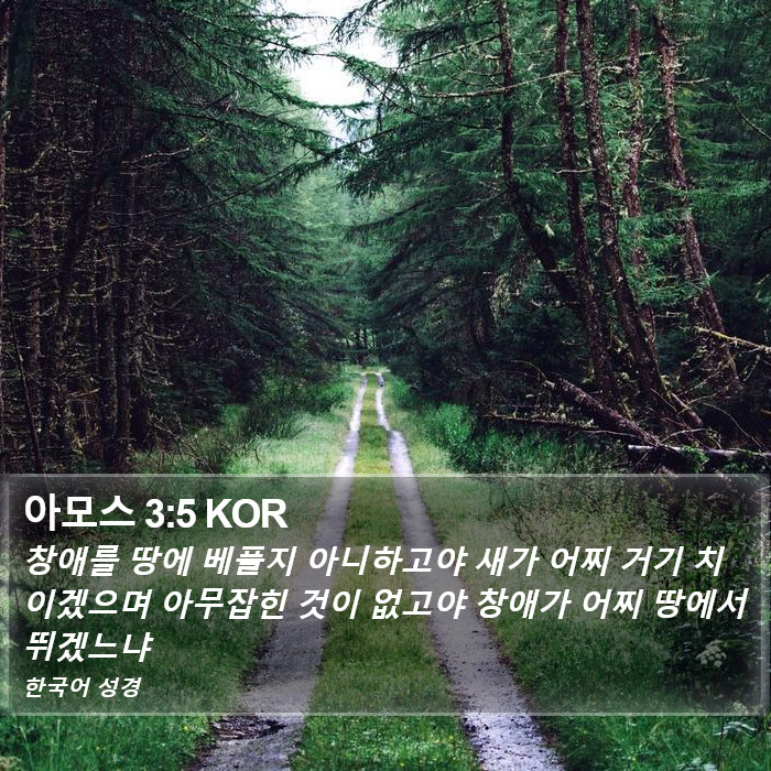 아모스 3:5 KOR Bible Study