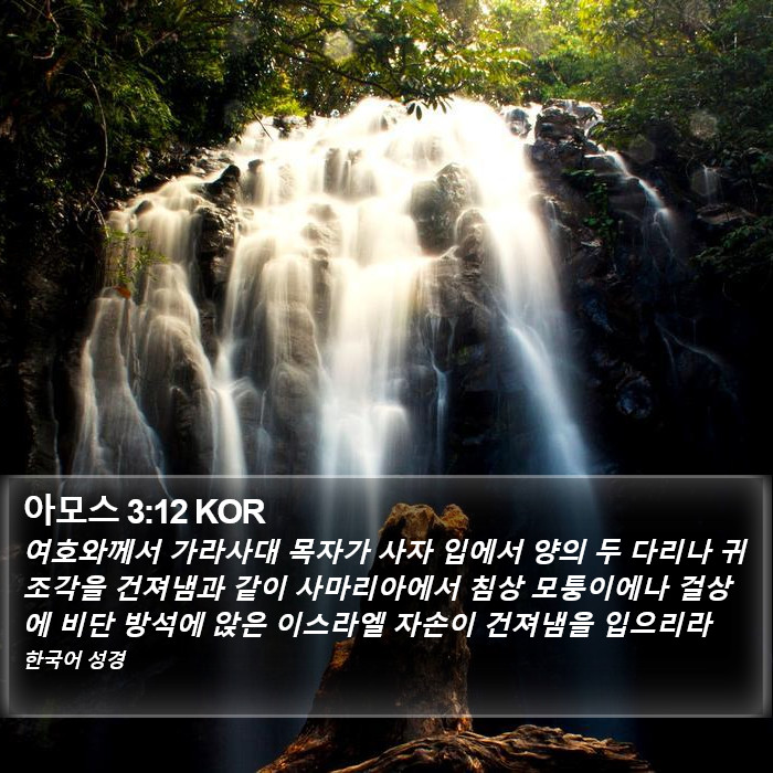 아모스 3:12 KOR Bible Study