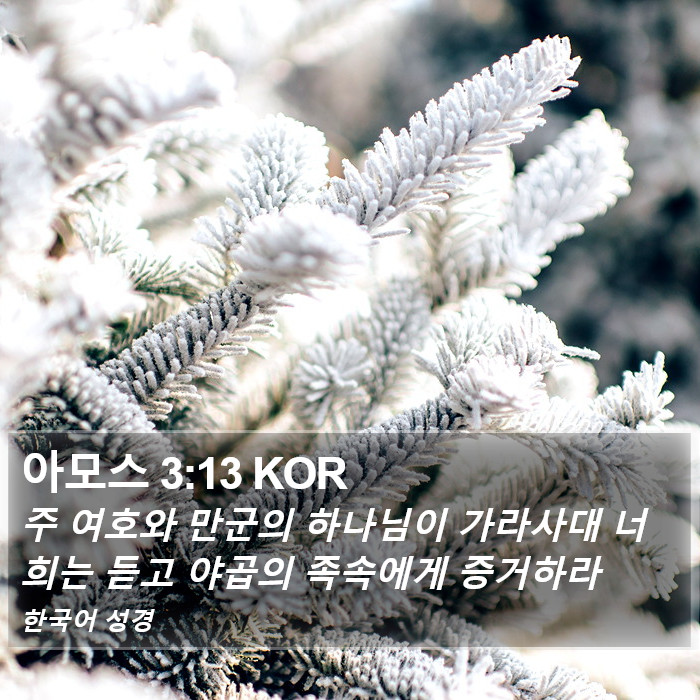 아모스 3:13 KOR Bible Study