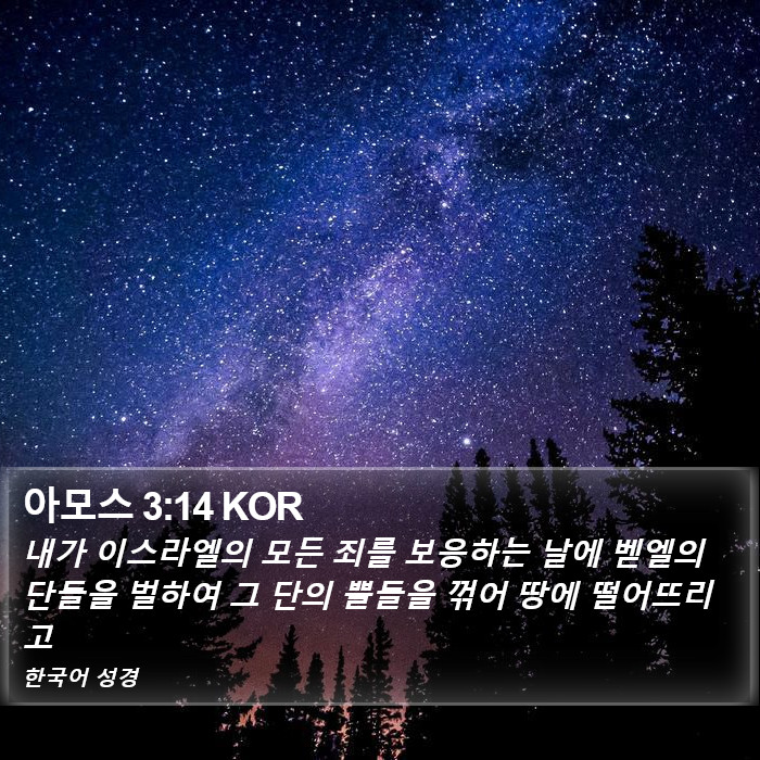 아모스 3:14 KOR Bible Study