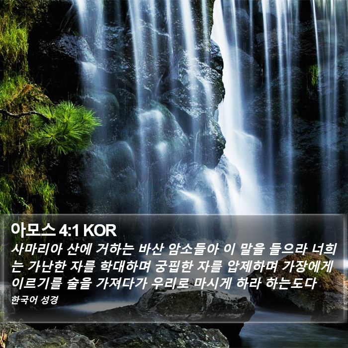 아모스 4:1 KOR Bible Study