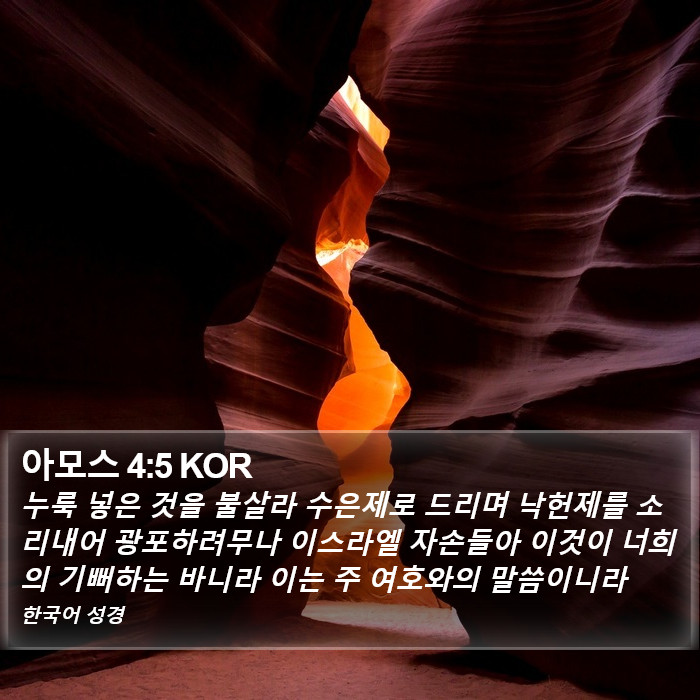 아모스 4:5 KOR Bible Study