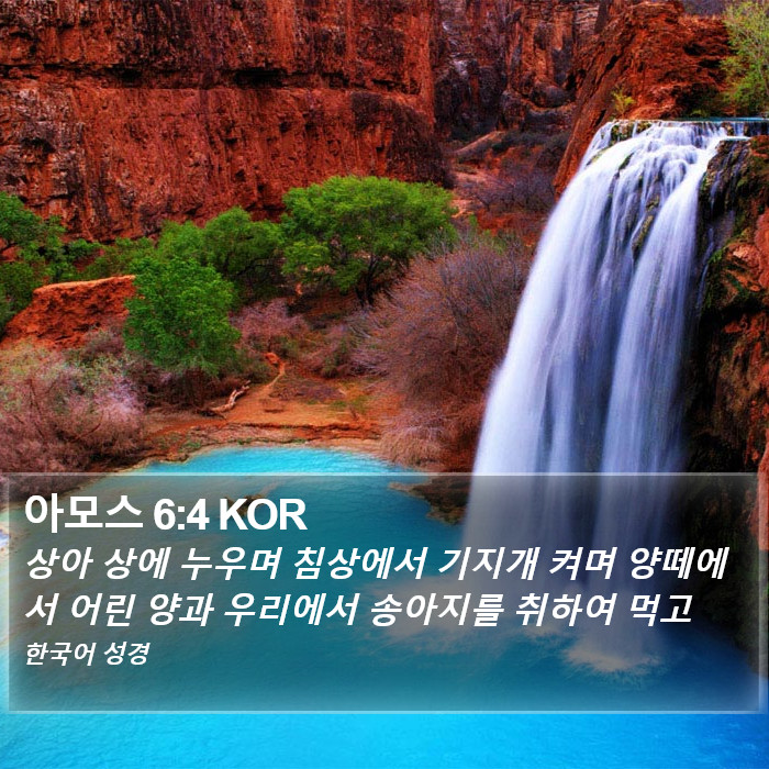 아모스 6:4 KOR Bible Study