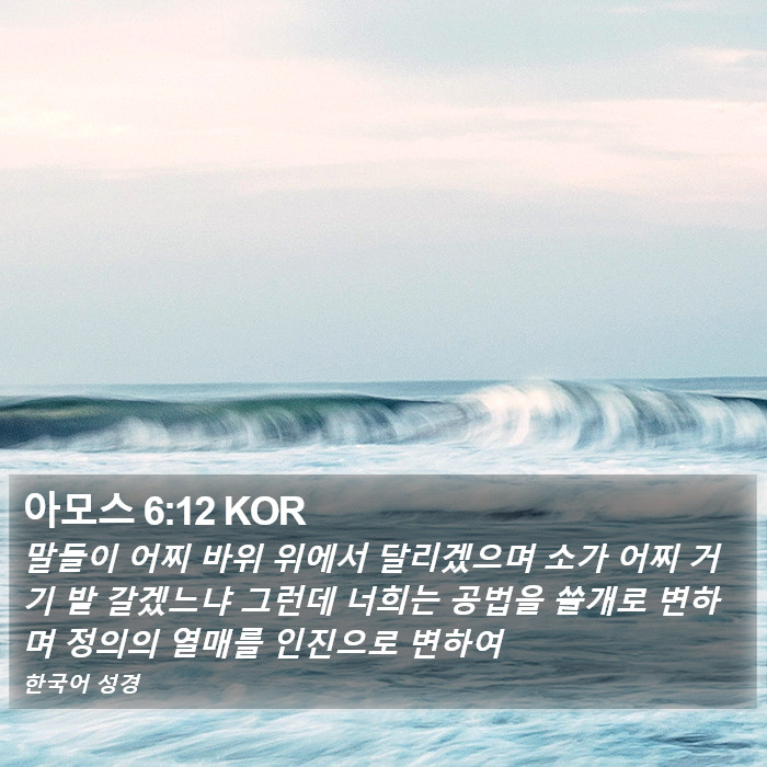 아모스 6:12 KOR Bible Study