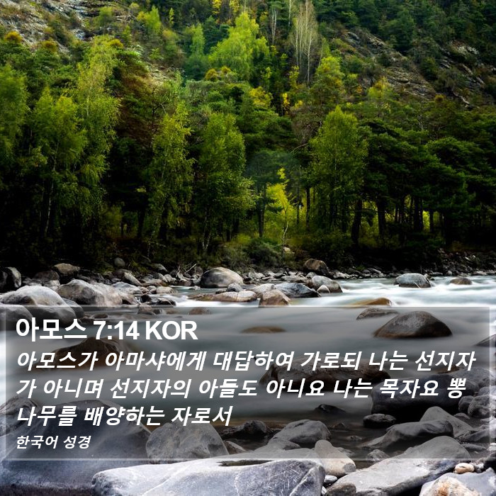 아모스 7:14 KOR Bible Study