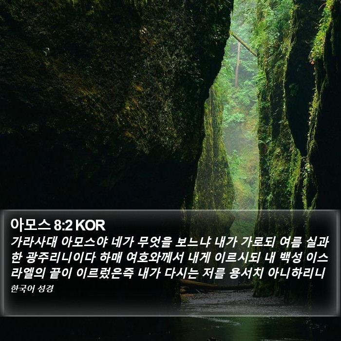 아모스 8:2 KOR Bible Study