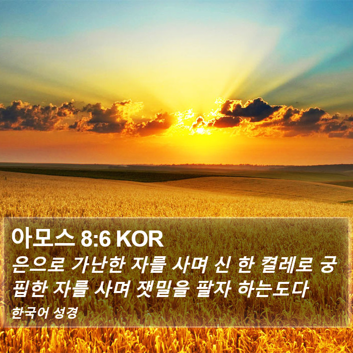 아모스 8:6 KOR Bible Study