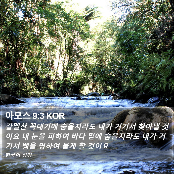 아모스 9:3 KOR Bible Study