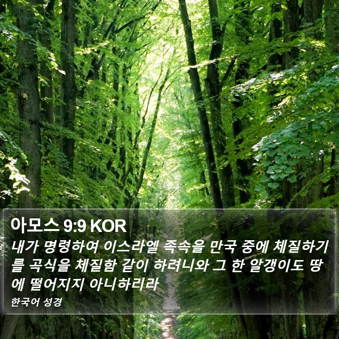 아모스 9:9 KOR Bible Study