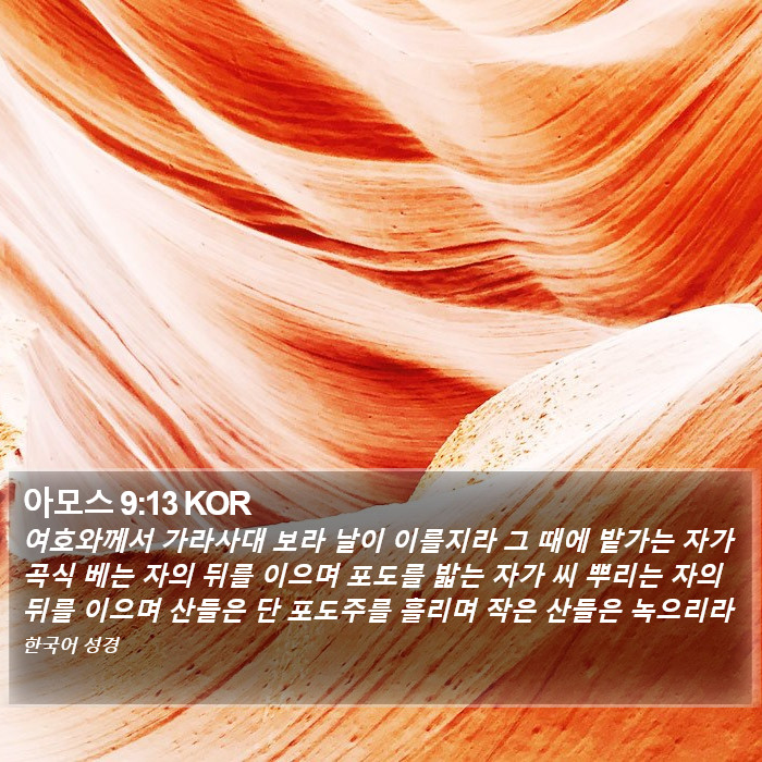 아모스 9:13 KOR Bible Study