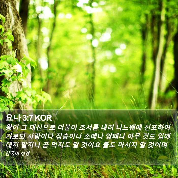 요나 3:7 KOR Bible Study