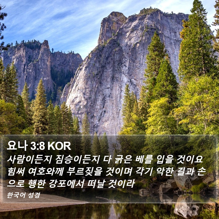 요나 3:8 KOR Bible Study