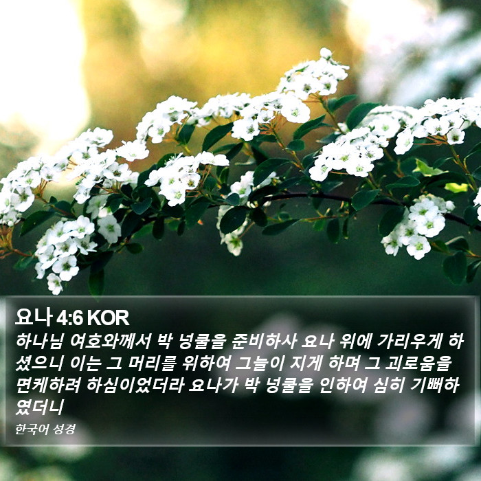 요나 4:6 KOR Bible Study