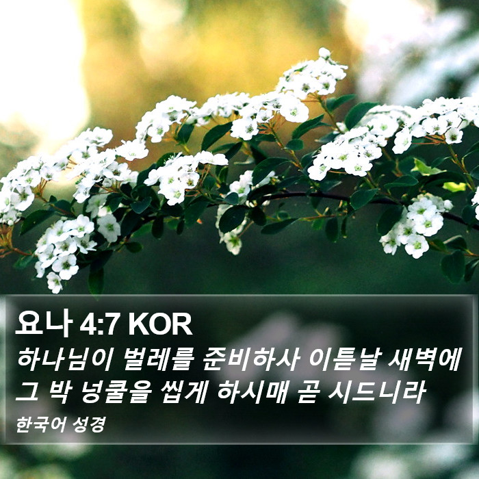 요나 4:7 KOR Bible Study