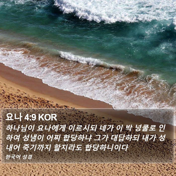 요나 4:9 KOR Bible Study