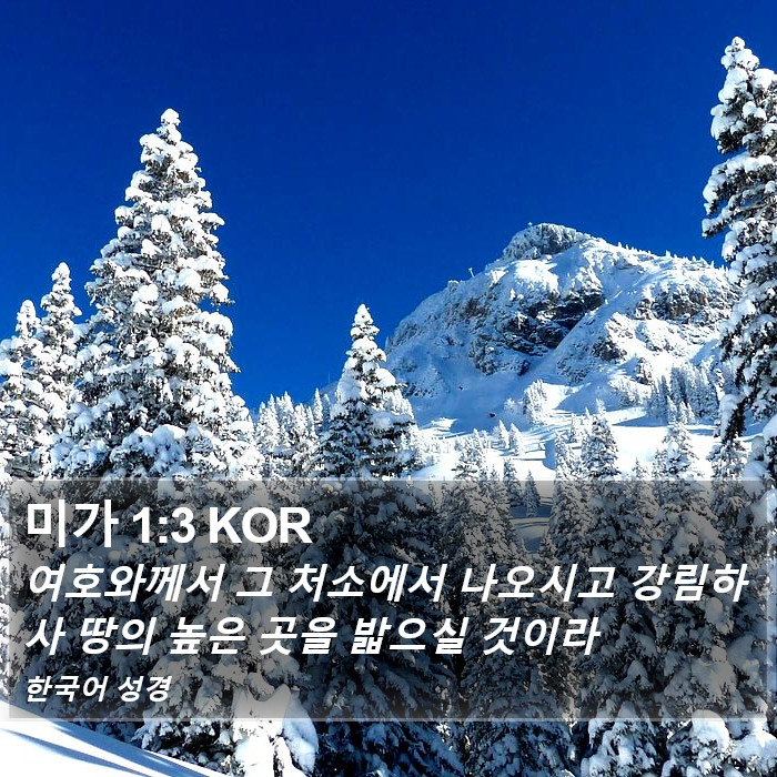 미가 1:3 KOR Bible Study