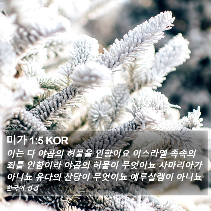 미가 1:5 KOR Bible Study