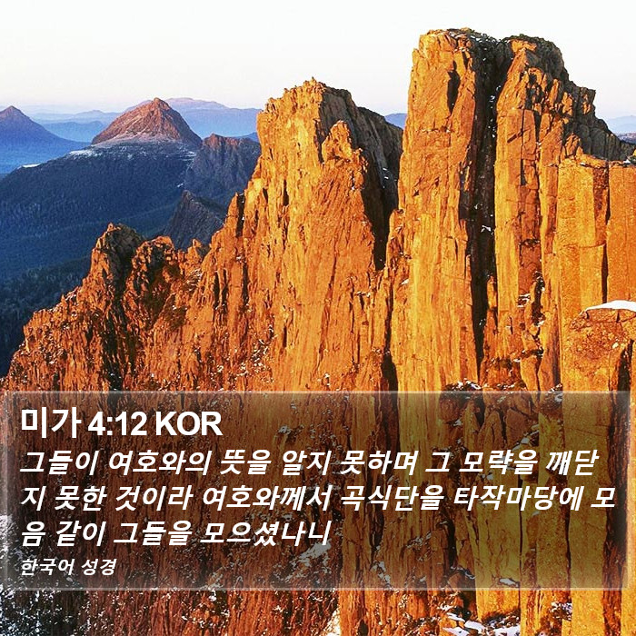 미가 4:12 KOR Bible Study