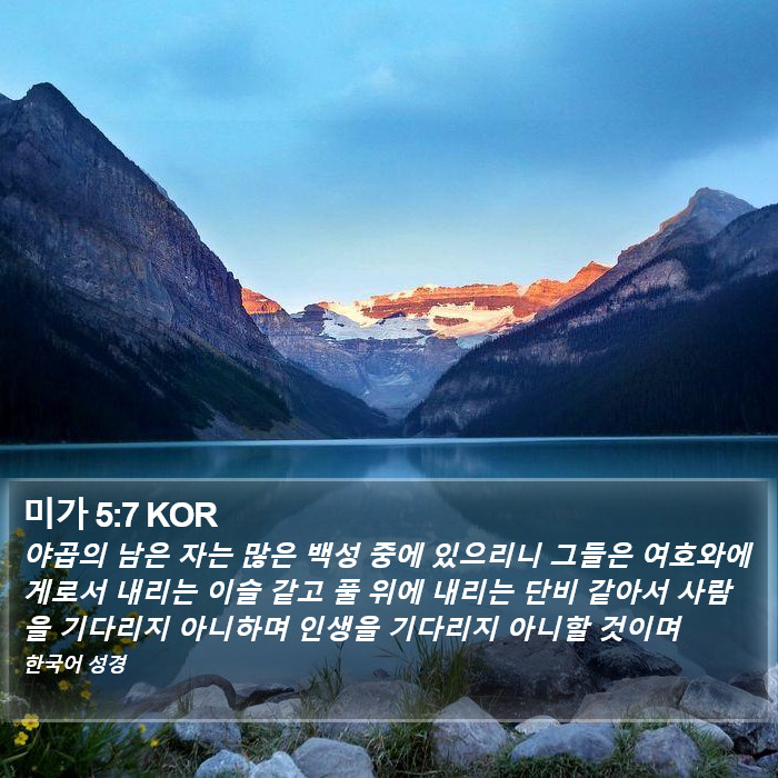 미가 5:7 KOR Bible Study