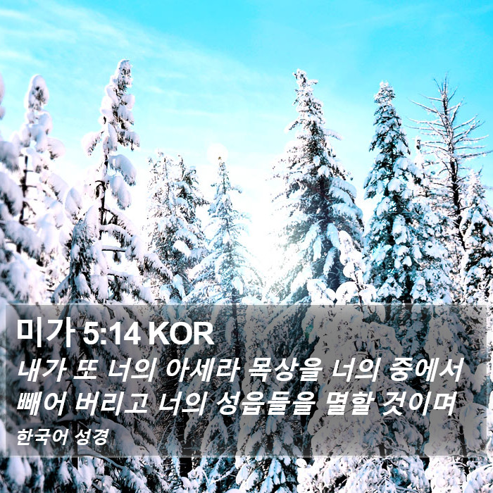 미가 5:14 KOR Bible Study