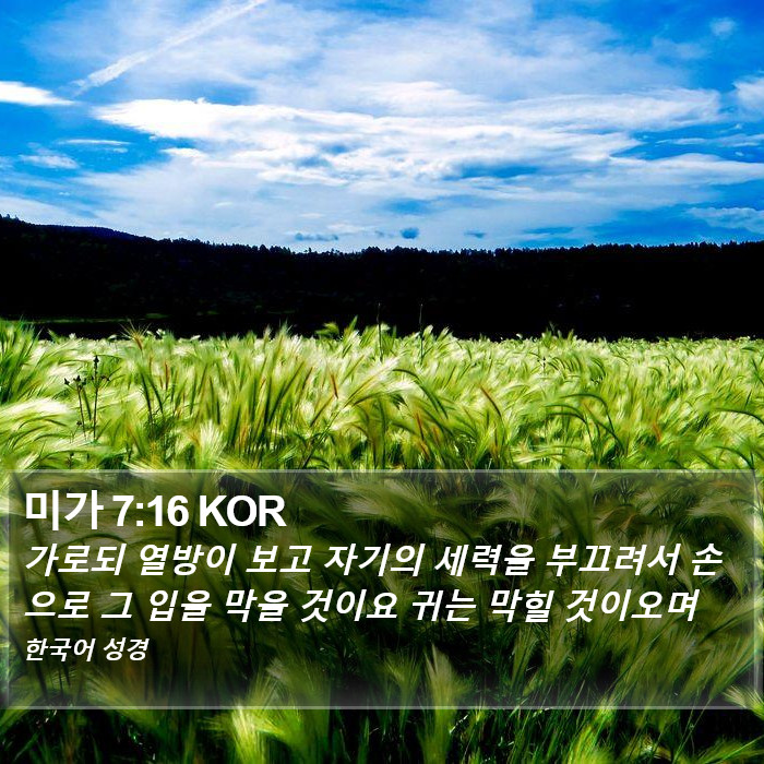 미가 7:16 KOR Bible Study