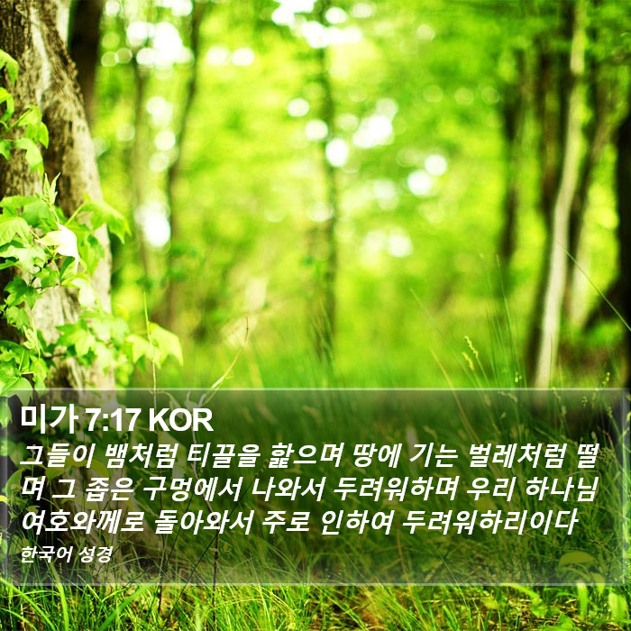 미가 7:17 KOR Bible Study