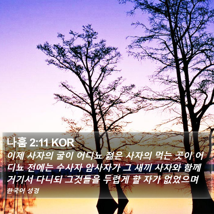 나훔 2:11 KOR Bible Study