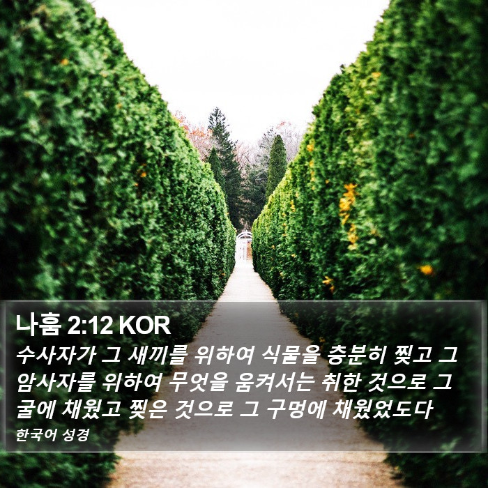 나훔 2:12 KOR Bible Study