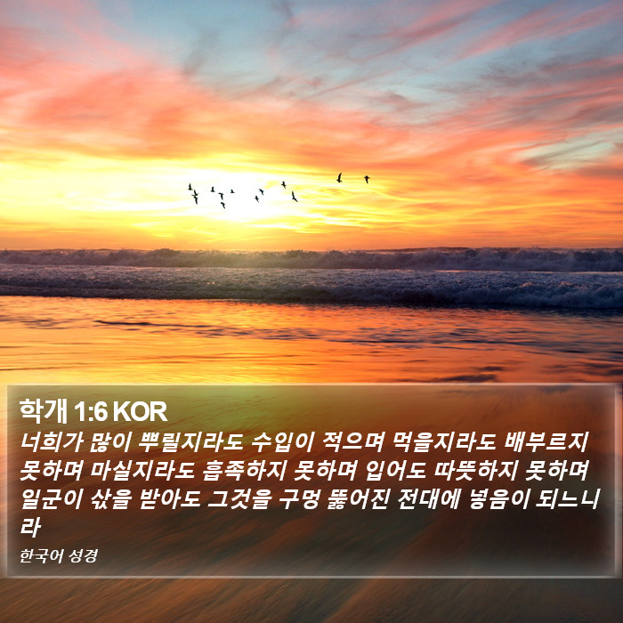 학개 1:6 KOR Bible Study