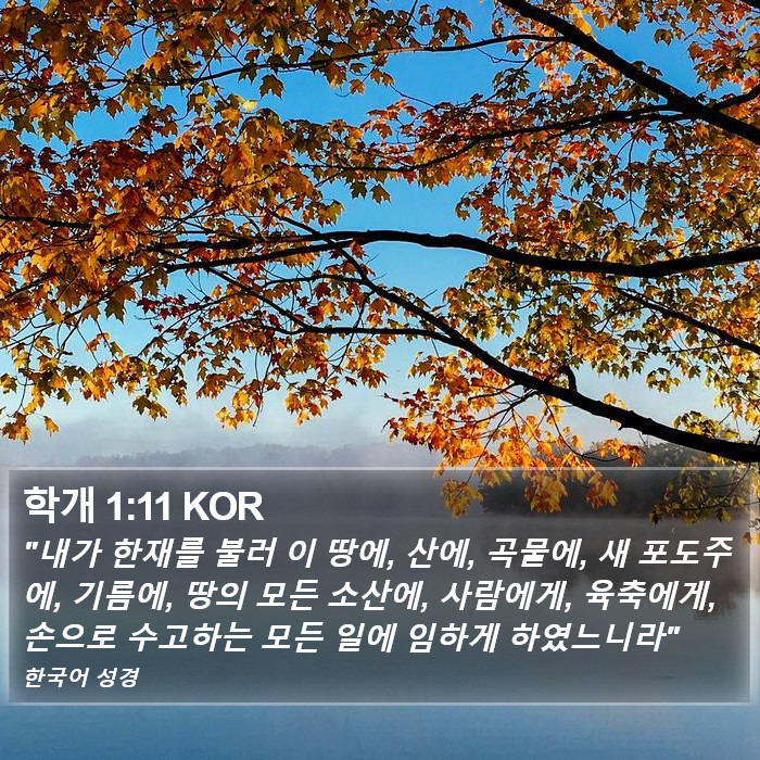 학개 1:11 KOR Bible Study