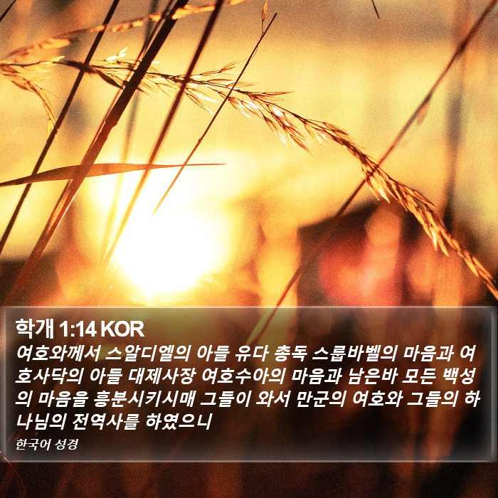 학개 1:14 KOR Bible Study