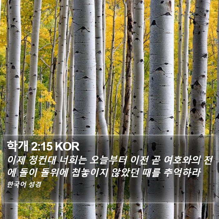 학개 2:15 KOR Bible Study