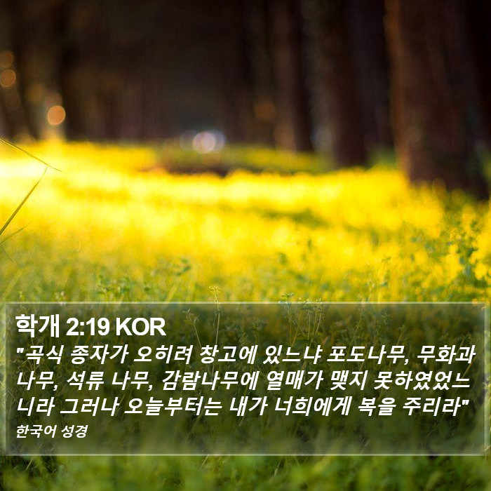 학개 2:19 KOR Bible Study