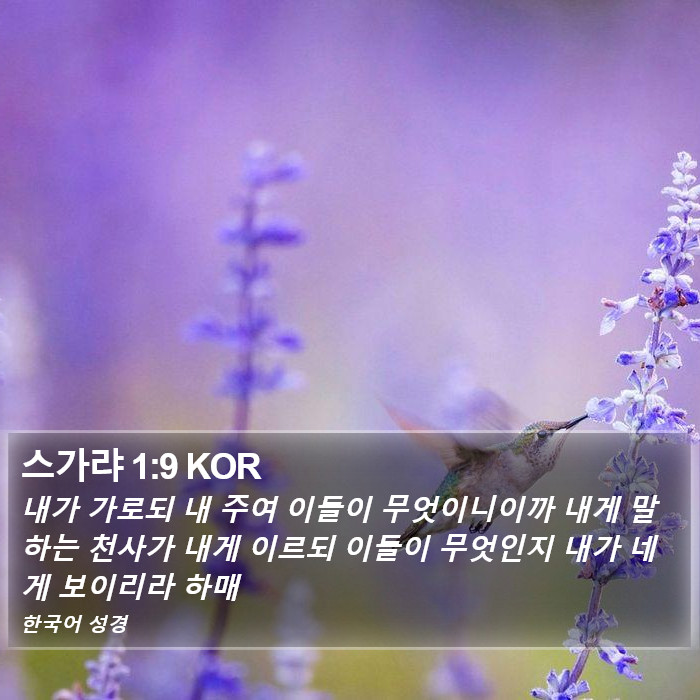 스가랴 1:9 KOR Bible Study