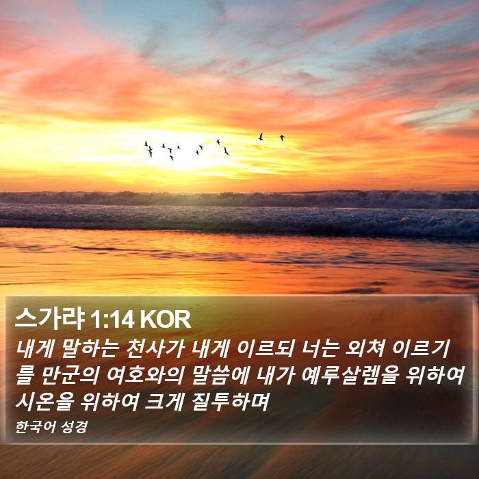 스가랴 1:14 KOR Bible Study