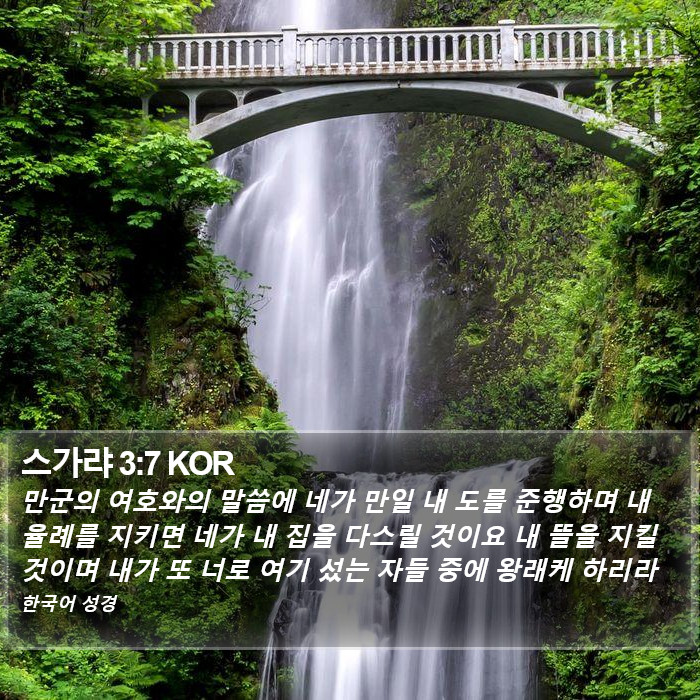 스가랴 3:7 KOR Bible Study