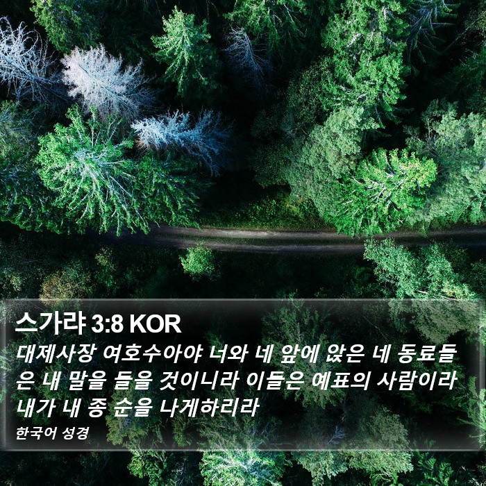 스가랴 3:8 KOR Bible Study