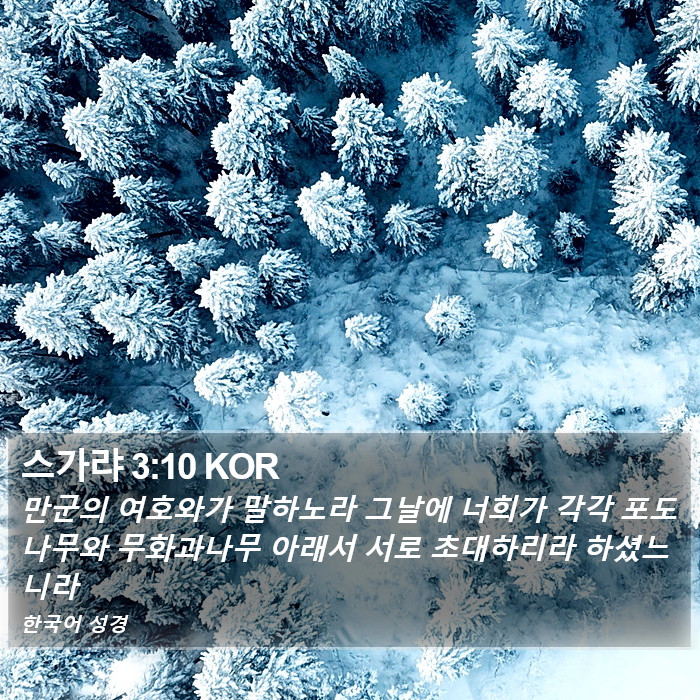 스가랴 3:10 KOR Bible Study