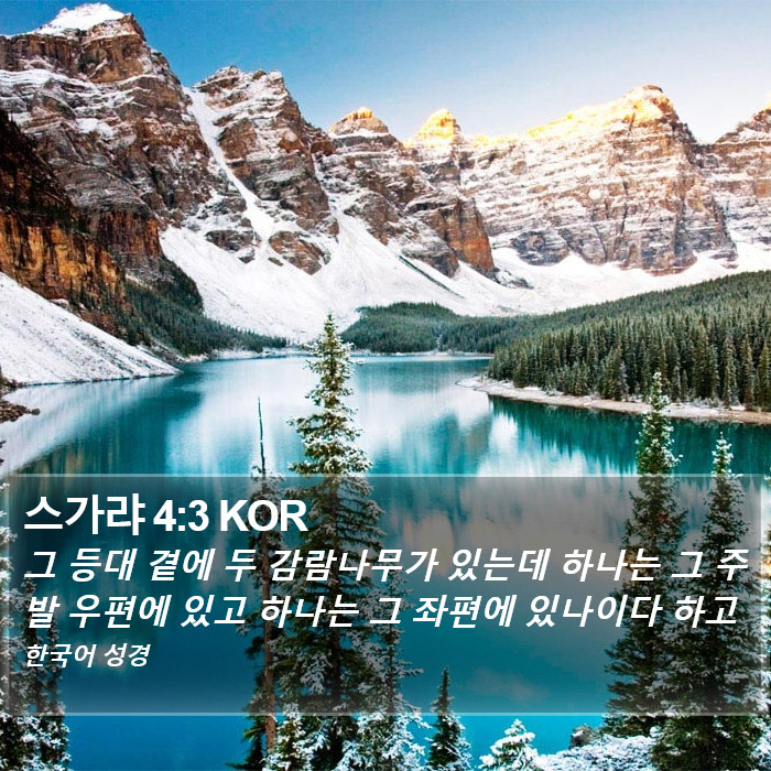 스가랴 4:3 KOR Bible Study