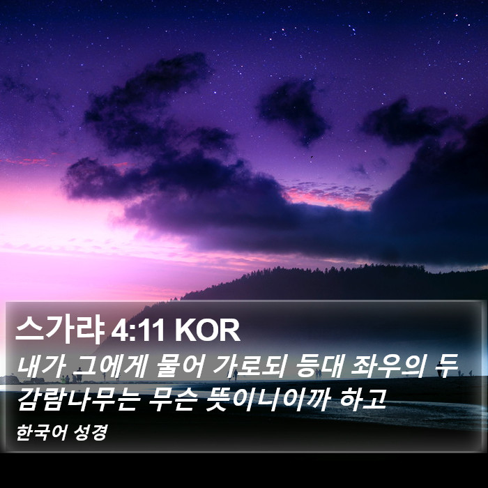 스가랴 4:11 KOR Bible Study