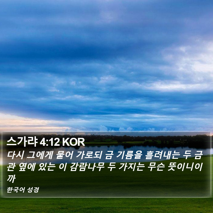 스가랴 4:12 KOR Bible Study