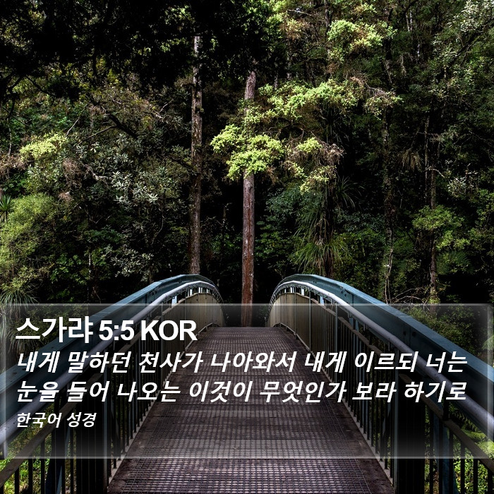 스가랴 5:5 KOR Bible Study