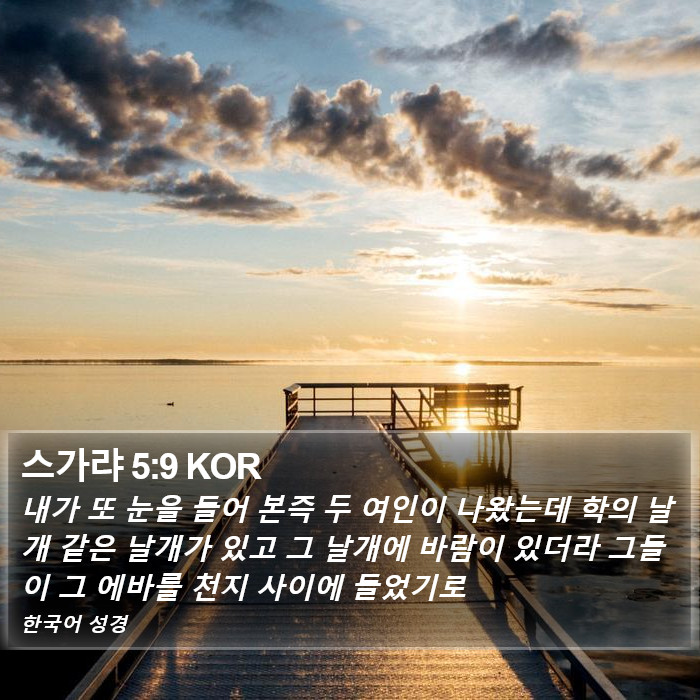 스가랴 5:9 KOR Bible Study