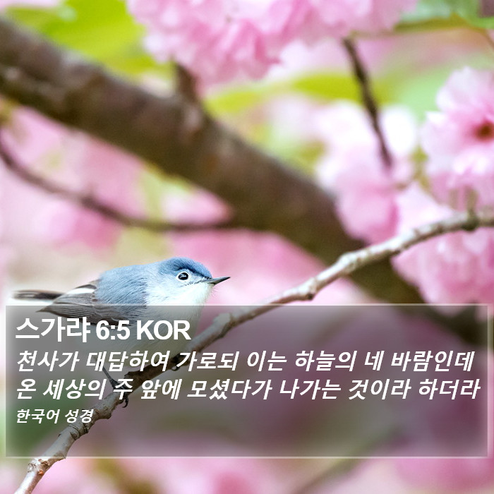 스가랴 6:5 KOR Bible Study