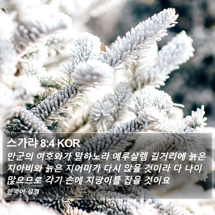 스가랴 8:4 KOR Bible Study