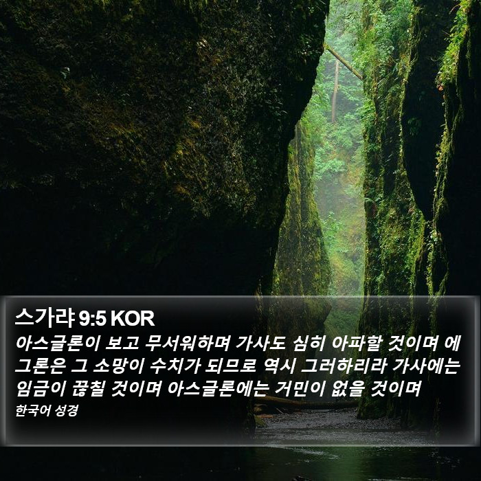 스가랴 9:5 KOR Bible Study